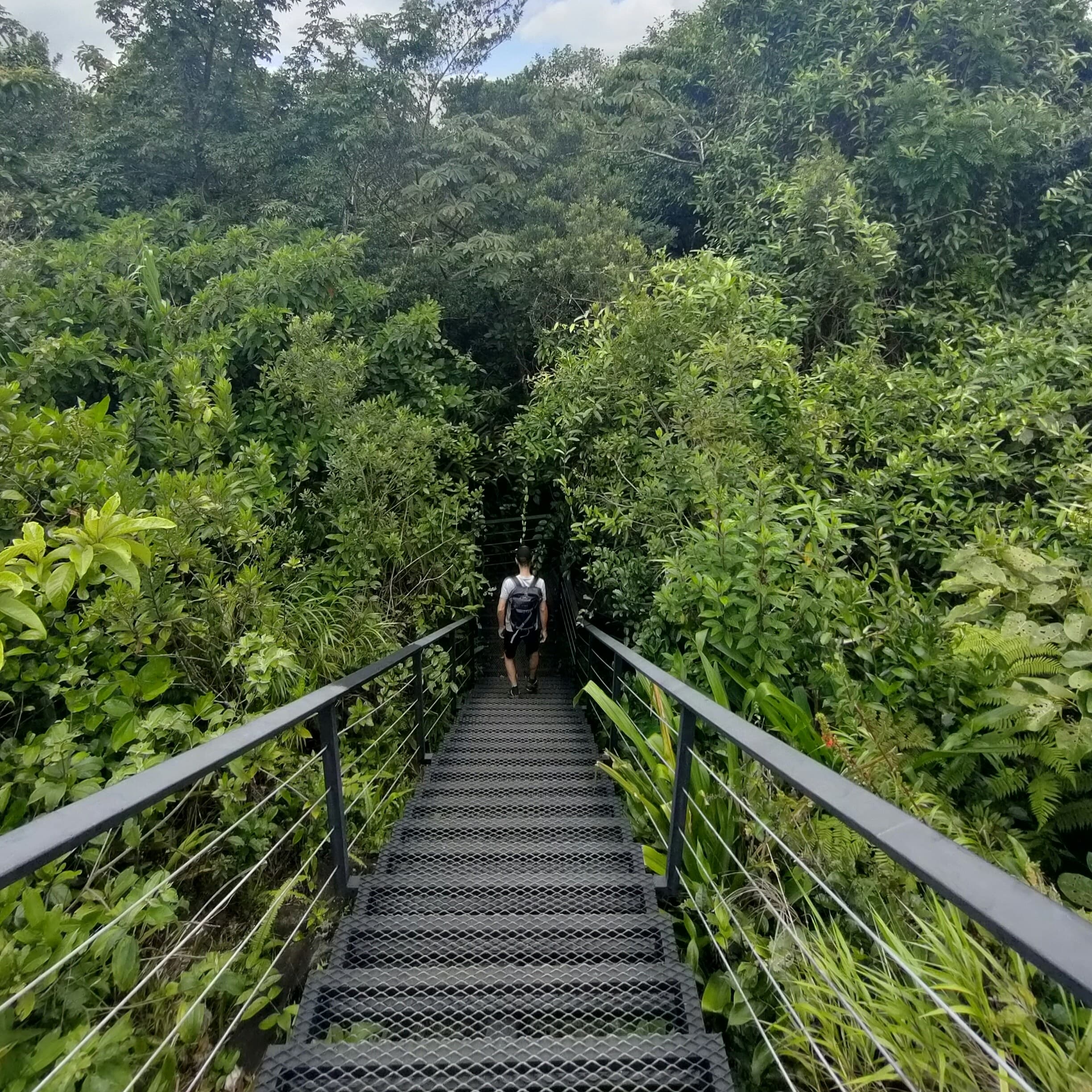 excursion